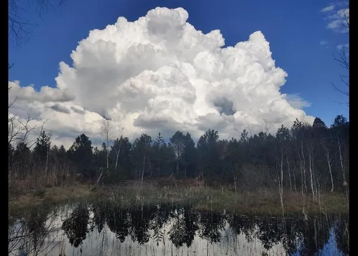 Lejlighed Abendsonne *